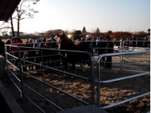 Recinzioni mobili/fence 06